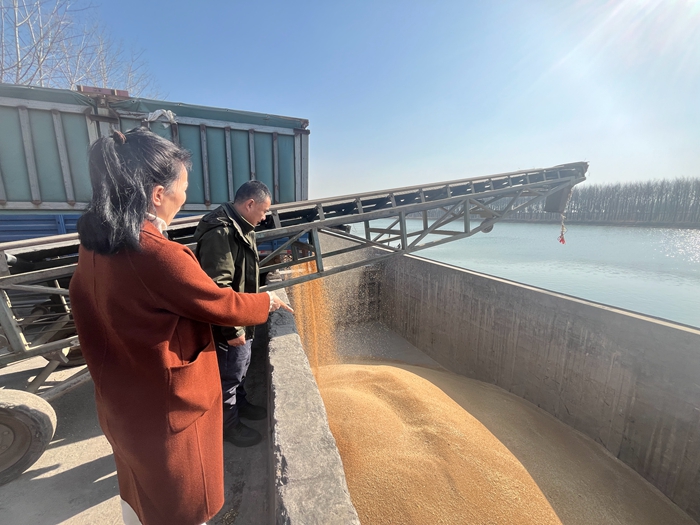 “黨建領(lǐng)航，守護糧安”淮糧集團開展特色品牌黨建活動